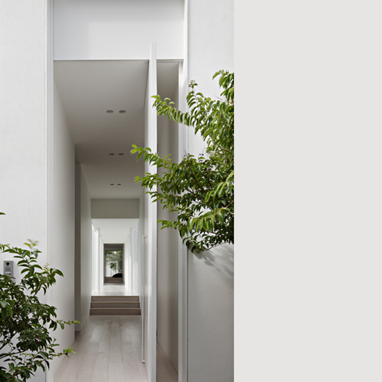 White walls and green trees are the main colors of Bourne Road Residence, designed by studiofour, one of the top interior designers melbourne has to offer